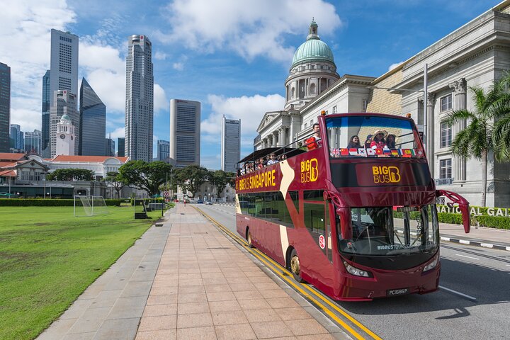 Big Bus Singapore Hop-On Hop-Off Tour