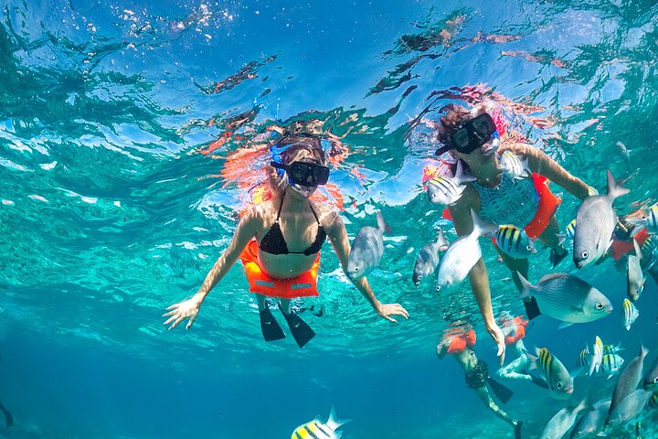 Isla Mujeres Cruise with Beach Club, Snorkel, Lunch and Open Bar