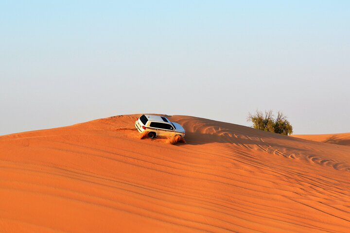 Full Day Desert Safari in Qatar with Lunch/Dinner by sea side