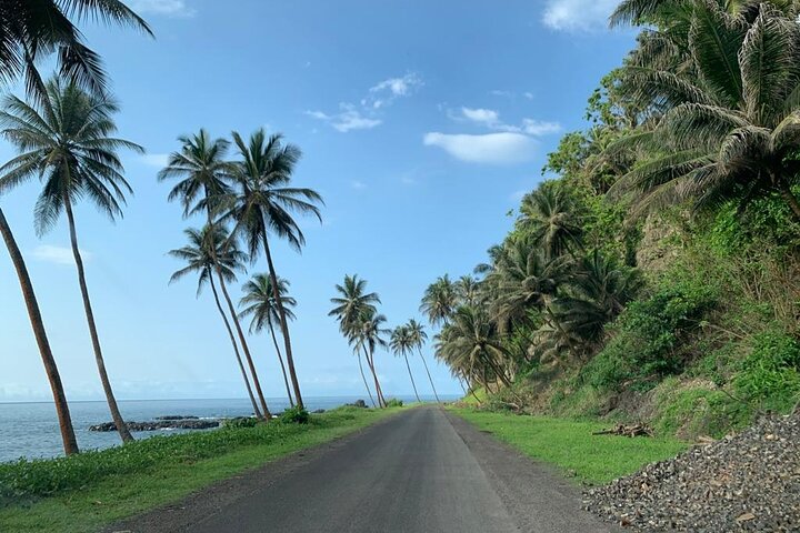 Cacao Road Excursion: plantations, processes, tasting and culture