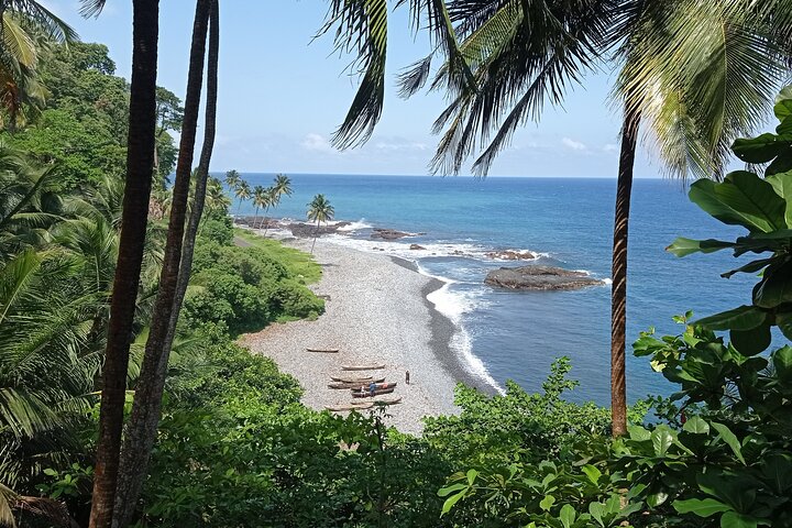 Cacao Road Excursion: plantations, processes, tasting and culture