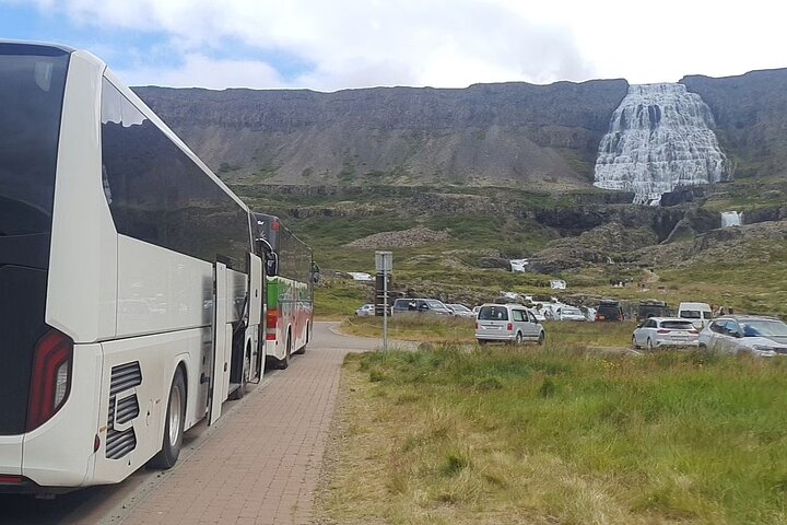 3,5-Hour Sightseeing Tour To Dynjandi Waterfall