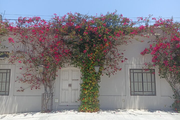 Todos Santos Treasure Hunt