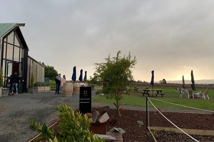 Wine Tour Yarra Valley Five Star Experience