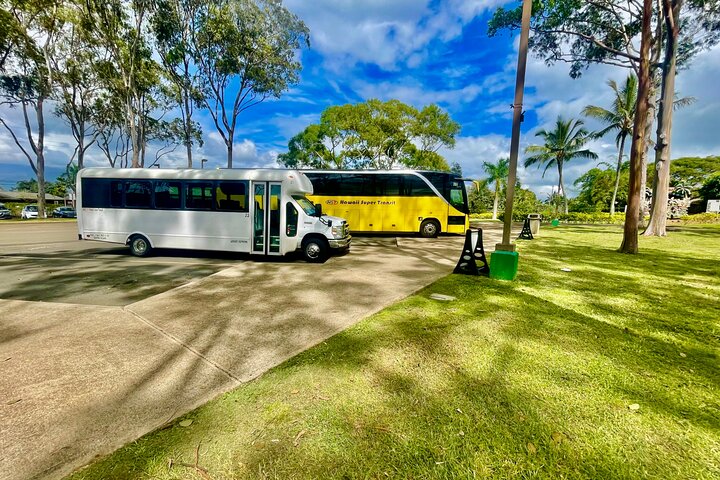 Oahu: Roundtrip Shuttle From Waikiki to Dole Plantation & Haleiwa
