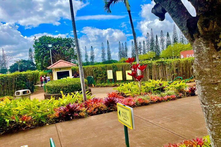Oahu: Roundtrip Shuttle From Waikiki to Dole Plantation & Haleiwa