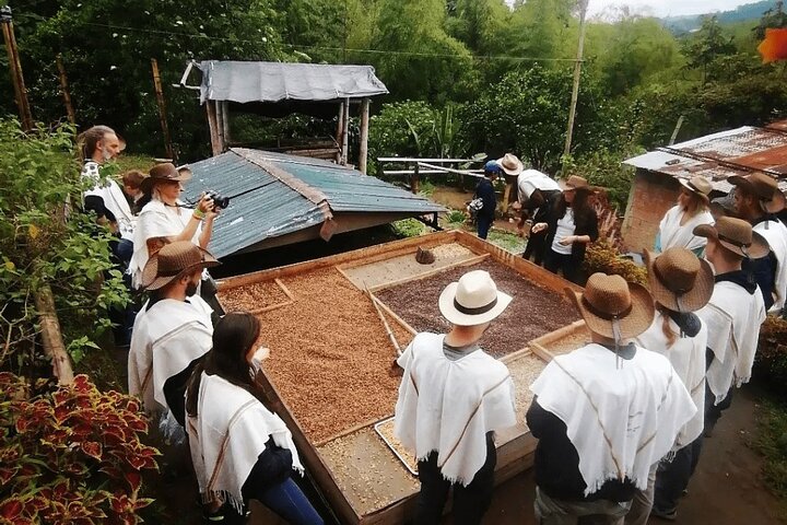 Salento and Cócora Tour plus Coffee Farm from Pereira or Armenia