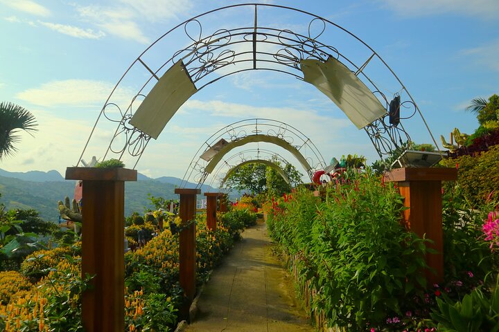 Cebu Highlands Tour (Tops,Taoist temple, Leah and sirao garden)
