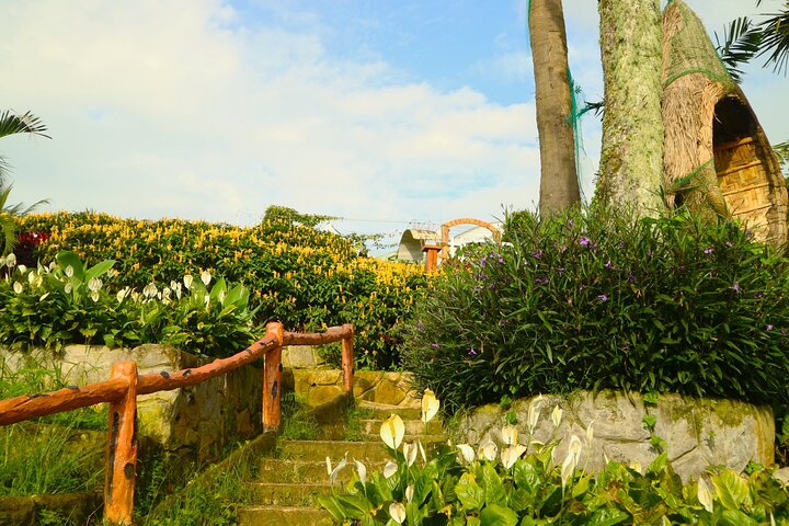 Cebu Highlands Tour (Tops,Taoist temple, Leah and sirao garden)