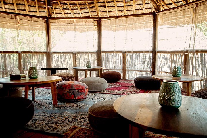 2-Day Private Luxury Safari: Tarangire & Ngorongoro Tanzania