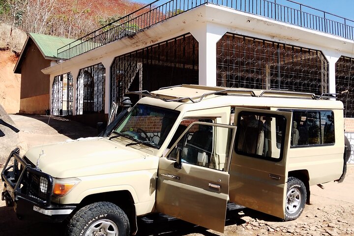 Kilimahewa safari full and real wild