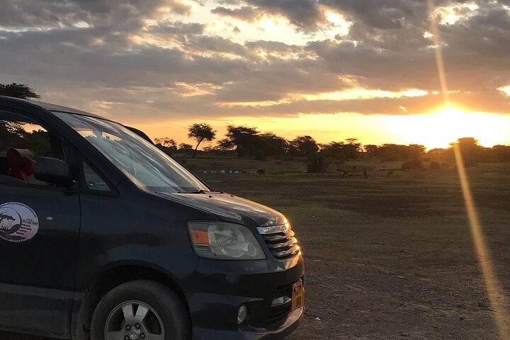 Arusha Private Transport Service in Tanzania