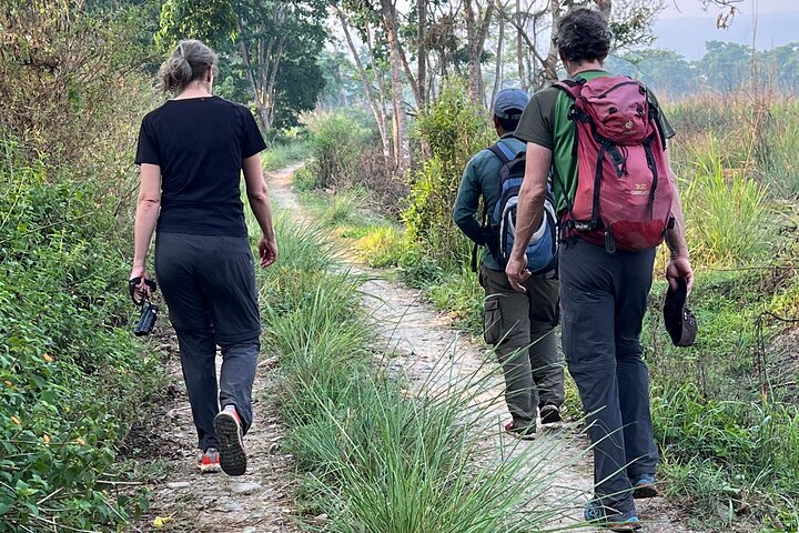 5 Days and 4 Nights Guided Walking Tour in Chitwan National Park