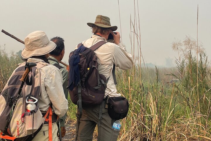 5 Days and 4 Nights Guided Walking Tour in Chitwan National Park