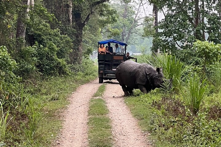 5 Days and 4 Nights Guided Walking Tour in Chitwan National Park