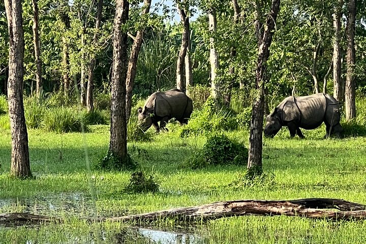 5 Days and 4 Nights Guided Walking Tour in Chitwan National Park