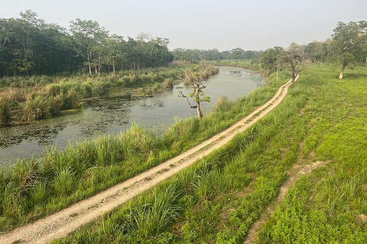 5 Days and 4 Nights Guided Walking Tour in Chitwan National Park