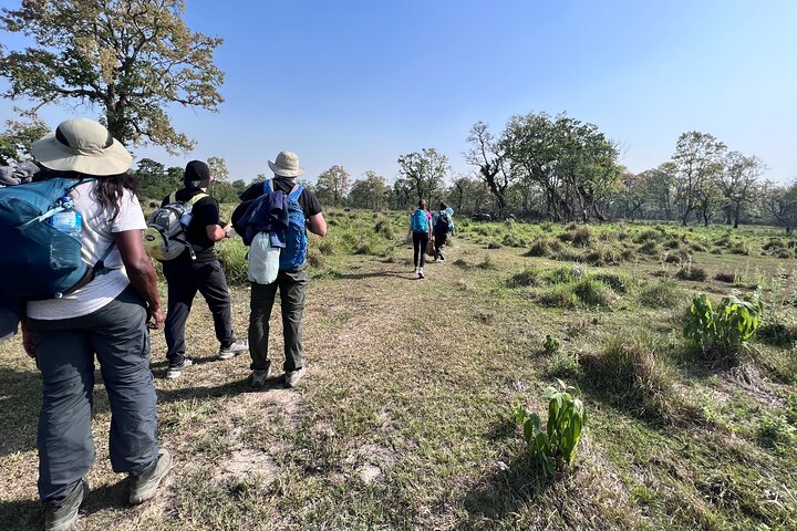 5 Days and 4 Nights Guided Walking Tour in Chitwan National Park
