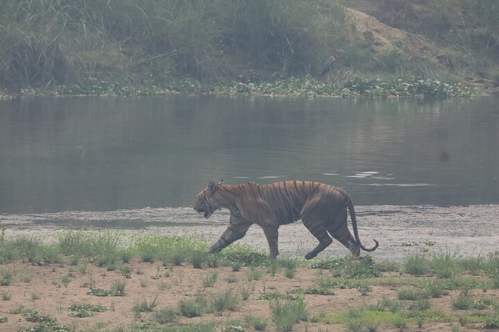 5 Days and 4 Nights Guided Walking Tour in Chitwan National Park