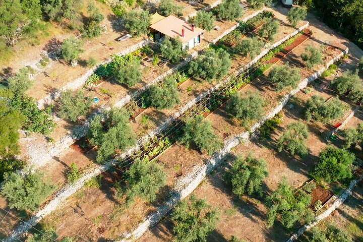 Traditional Greek Cooking Class on an organic farm