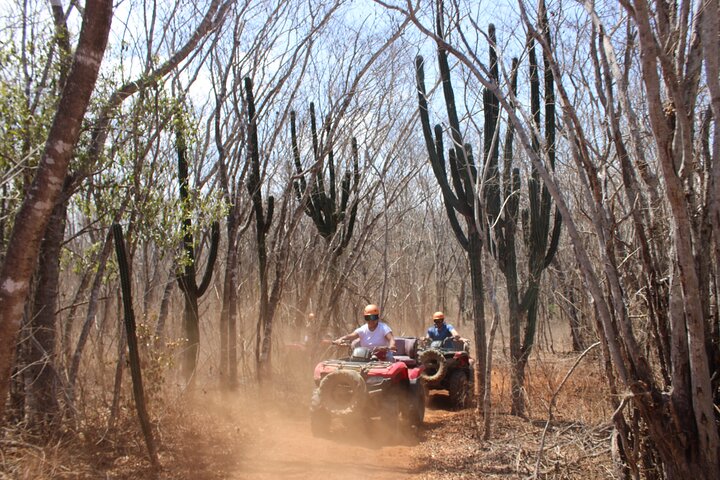 Jungle and beach ATV tour + lunch + tequila tasting