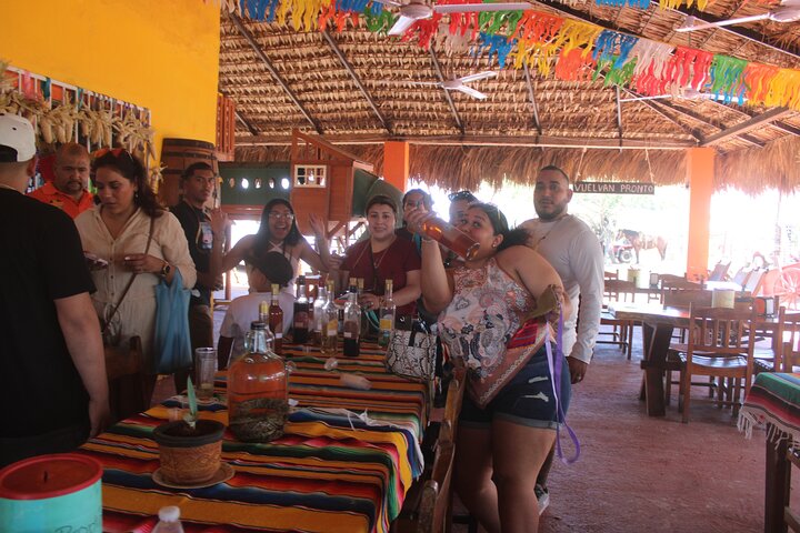 Jungle and beach ATV tour + lunch + tequila tasting