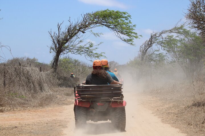 Jungle and beach ATV tour + lunch + tequila tasting