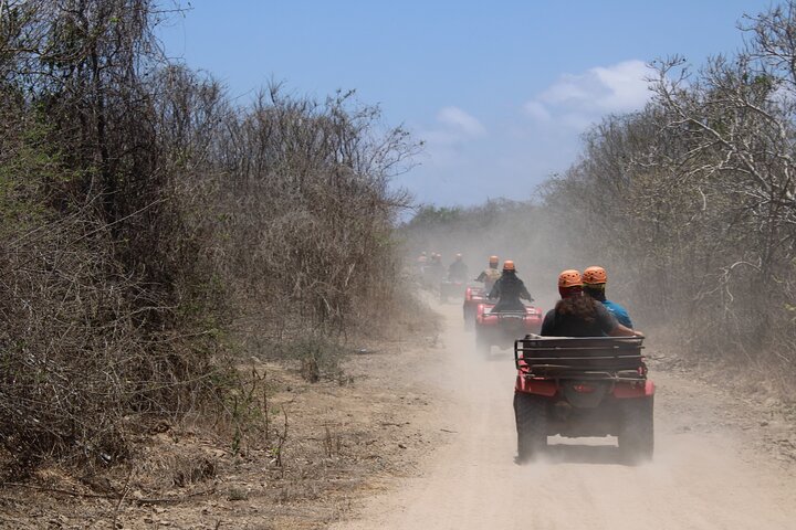 Jungle and beach ATV tour + lunch + tequila tasting