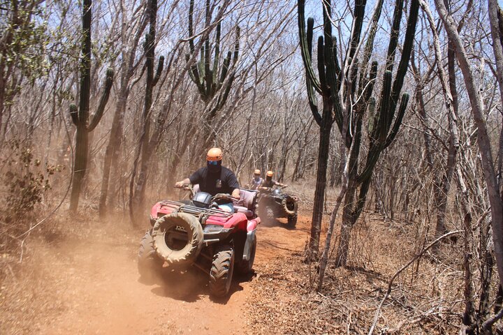 Jungle and beach ATV tour + lunch + tequila tasting