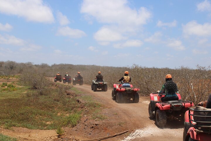 Jungle and beach ATV tour + lunch + tequila tasting