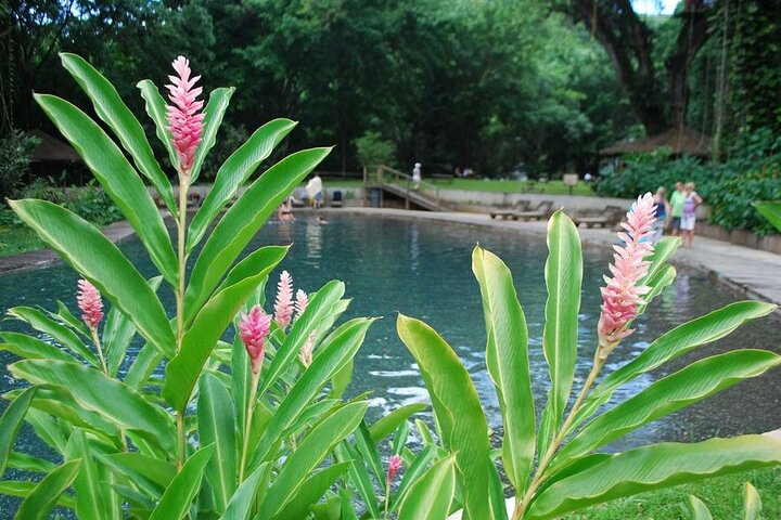 Appleton Estate YS Falls & Black River from Montego Bay or Negril