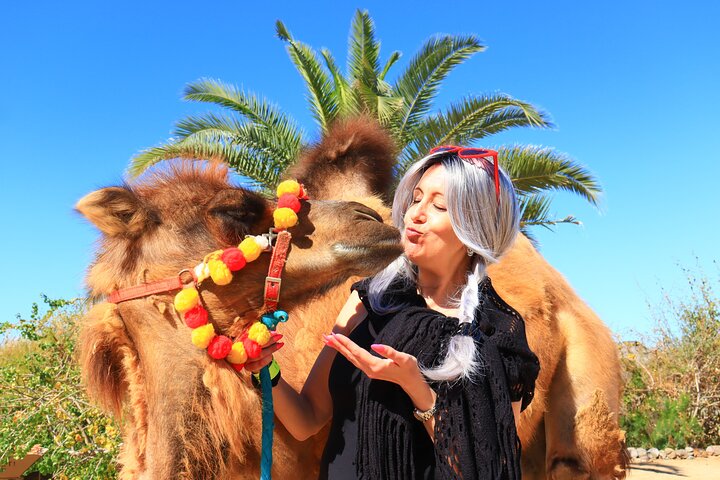 Cabo ATV Tour, Camel Ride with Tequila and Mexican Buffet Lunch
