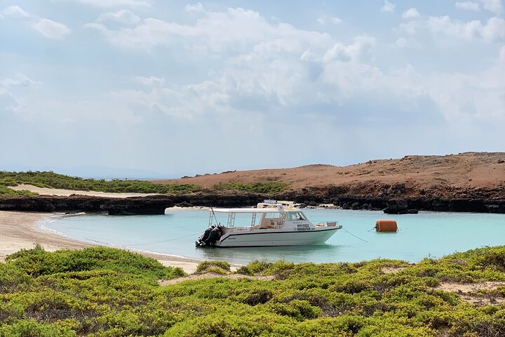 Daymaniyat Islands Snorkeling Sharing Trip
