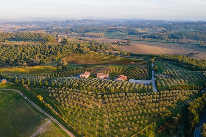 2 Hours Visit and Wine Tasting with tastings in Val D'Orcia