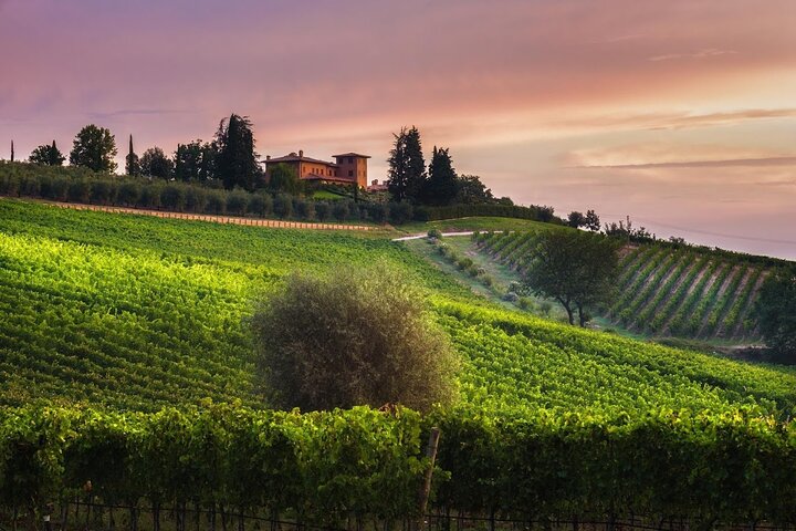 1h30m Wine Tasting and Visit to Val D'Orcia