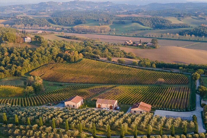 1h30m Wine Tasting and Visit to Val D'Orcia