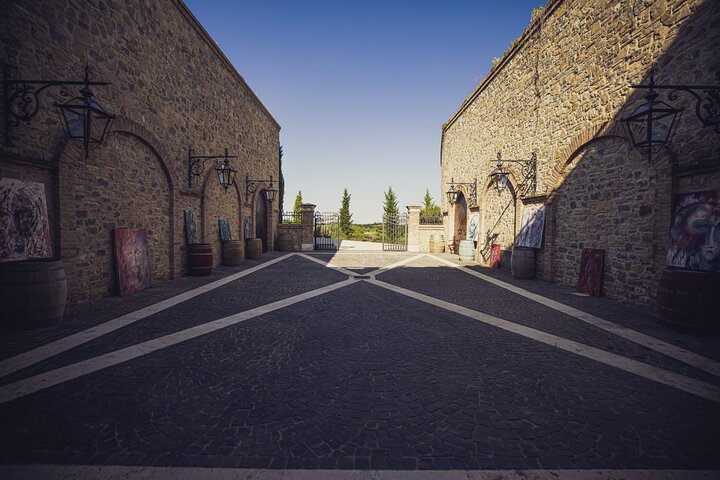 1h30m Wine Tasting and Visit to Val D'Orcia