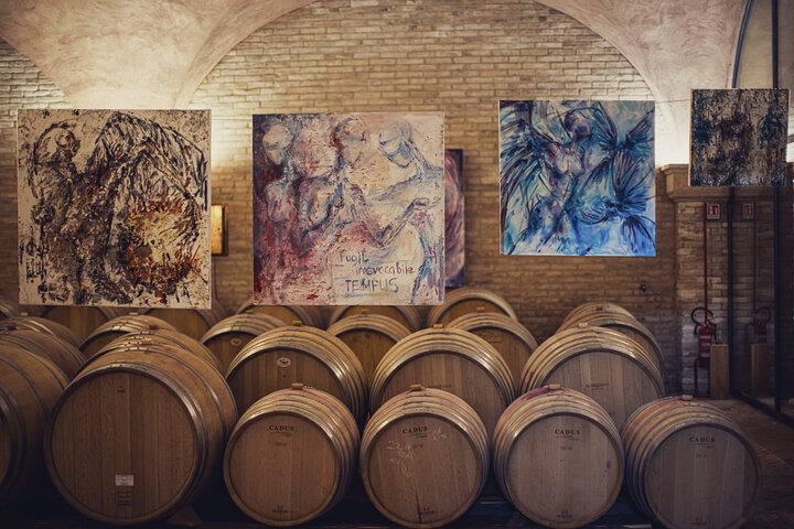 1h30m Wine Tasting and Visit to Val D'Orcia
