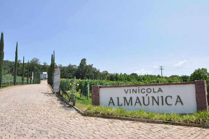 Bento/Vinhedos: Private Tour from Porto Alegre or Gramado