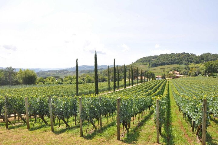 Bento/Vinhedos: Private Tour from Porto Alegre or Gramado