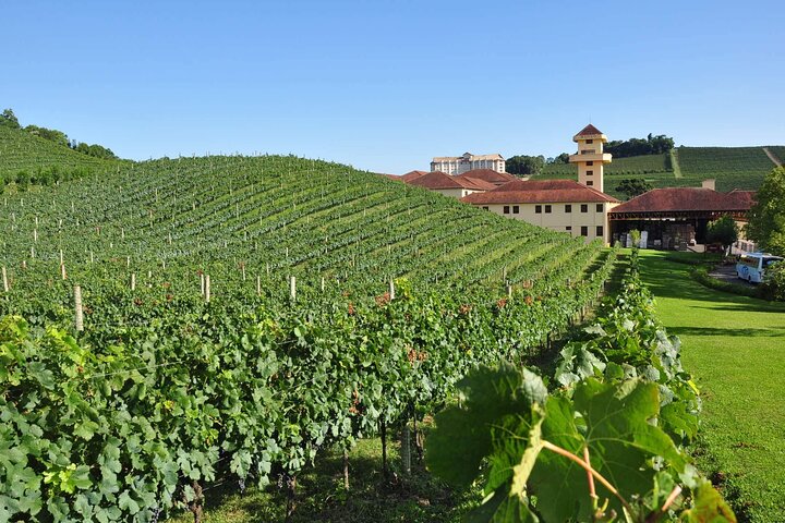 Bento/Vinhedos: Private Tour from Porto Alegre or Gramado