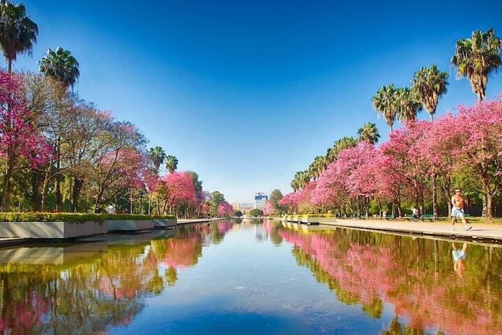 Porto Alegre : Private City Tour of the Highlights of the City