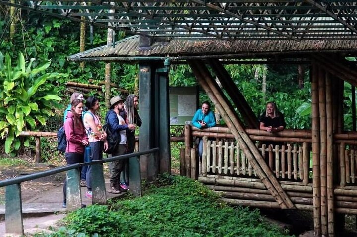 Private Guided Tour in The Archaeological Park