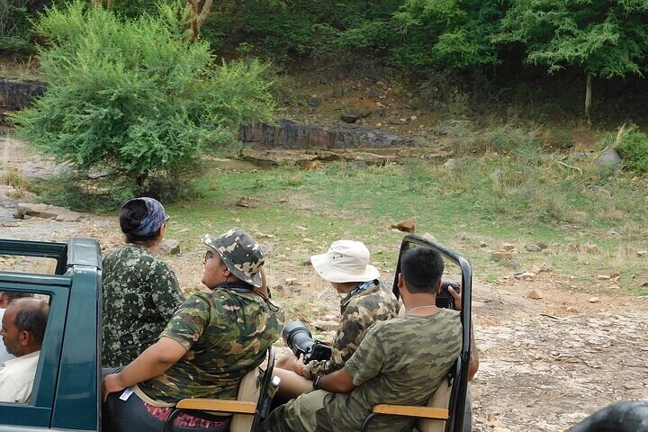 3-Hour Shared Safari in Ranthambore National Park