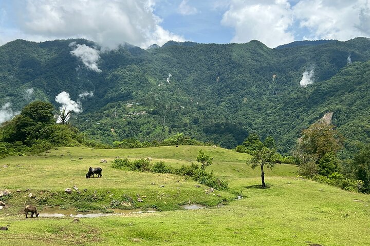 Dumaguete Tours in English | Private, Flexible Full Day Tours