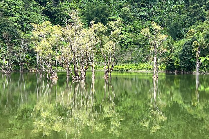 Dumaguete Tours in English | Private, Flexible Full Day Tours
