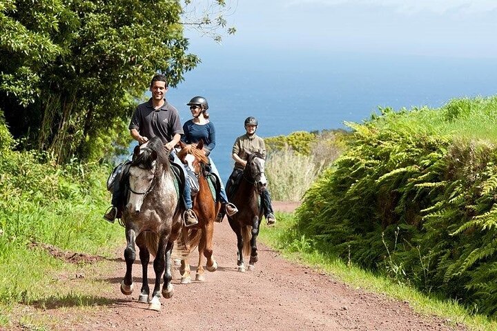 Lusitano Trail - Horseback riding for beginners