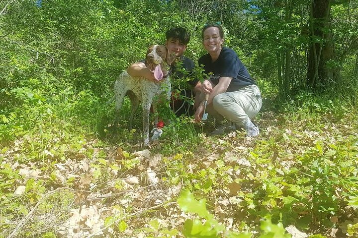 2 hours Private Activity - Truffle hunting in Assisi