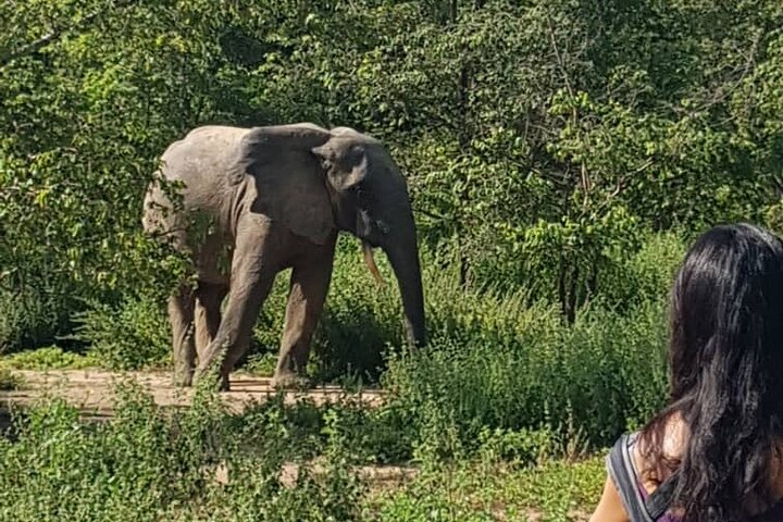 4 days (3 night) Ghana Elephants & Hippos Private Safaris