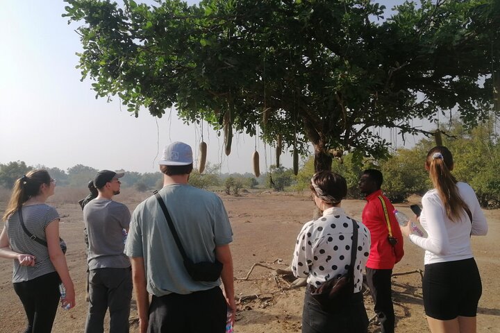 4 days (3 night) Ghana Elephants & Hippos Private Safaris